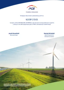 Naturalnie, że energia